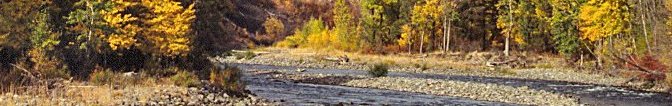 Fall river scene